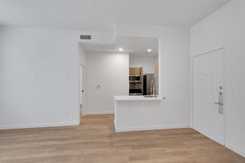 Equipped kitchen view2